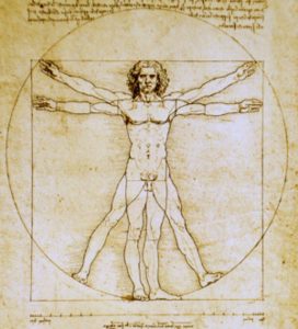 Vitruviano Da Vinci DAV01