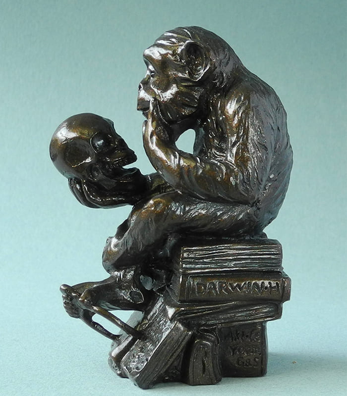 PA09HE Scimmia con Teschio - Rheinhold Statuetta Pocket Art Arte Museo Parastone
