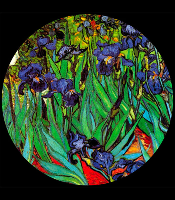 PGOG2 Iris - Van Gogh Fermacarte Arte Museo Parastone